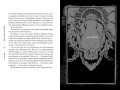 Death Note. Другая тетрадь. Дело о серийных убийствах B.B. в Лос-Анджелесе