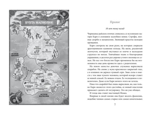 Бухта Магнолия. Магия, чистая и злая2.jpg