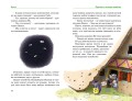 Все сказки Картонного городка5.jpg