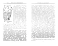 Повседневная жизнь викингов2.webp