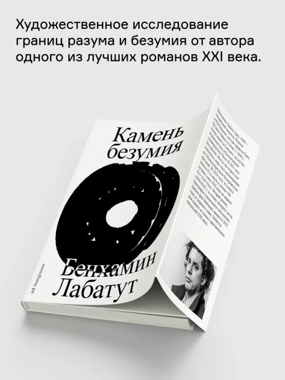 Камень безумия