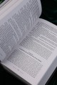 Рыжее братство