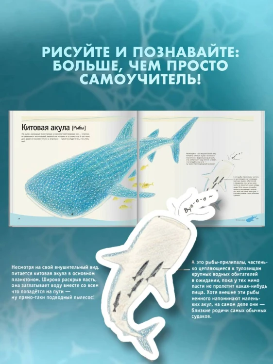 Рисуем милых водных животных