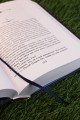 Пенрик и Дездемона. Книга 2