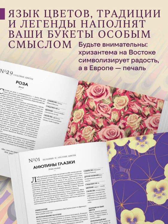 Грамматика цветов. Иллюстрированный путеводитель по цветочной вселенной символов, лечебных свойств и применения растений