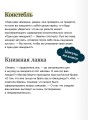 Книжная лавка фонарщика