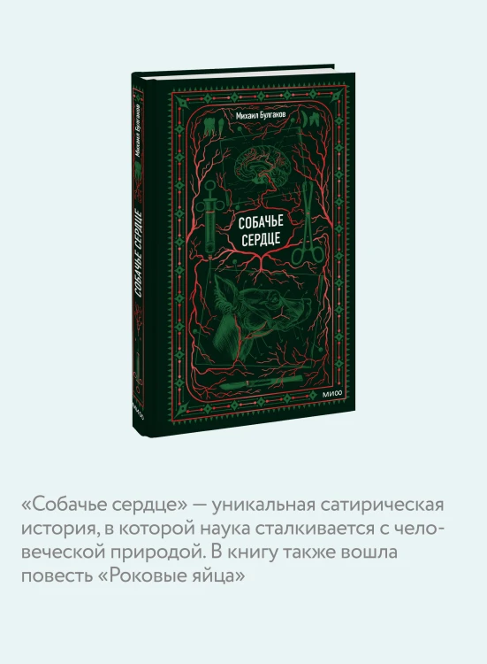 Собачье сердце. Вечные истории