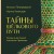 Тайны Шёлкового пути. Беседы о восточной коллекции Эрмитажа