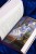 Хаски и его учитель Белый кот. Книга 2