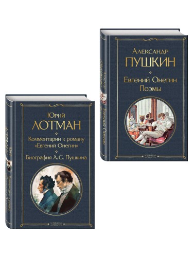 Расшифрованный Евгений Онегин (набор из 2 книг: Евгений Онегин, Комментарии к роману «Евгений Онегин». Биография А. С. Пушкина)