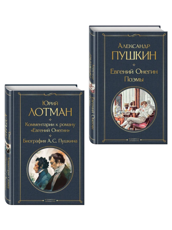 Расшифрованный Евгений Онегин (набор из 2 книг: Евгений Онегин, Комментарии к роману «Евгений Онегин». Биография А. С. Пушкина)