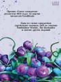 Душа тьмы