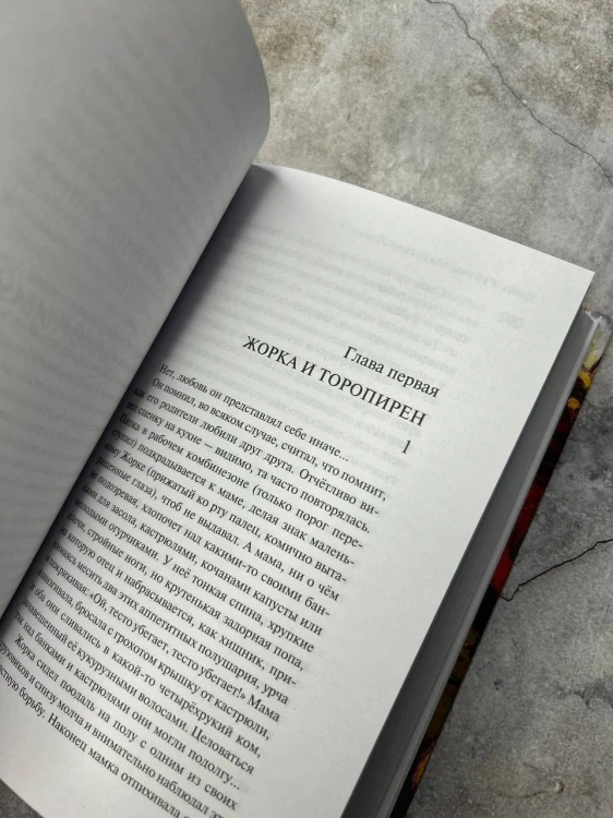 Дизайнер Жорка. Книга вторая. Серебряный рудник