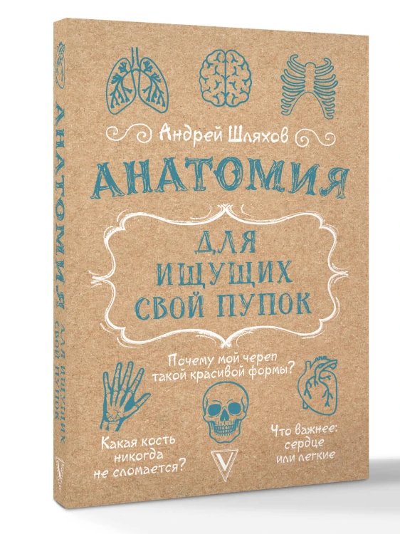 Анатомия для ищущих свой пупок