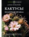 Кактусы. Колючая правда