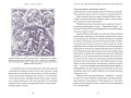 Мифы о начале времен. От Демиурга и Хаоса до великана Имира и Змеи-прародительницы