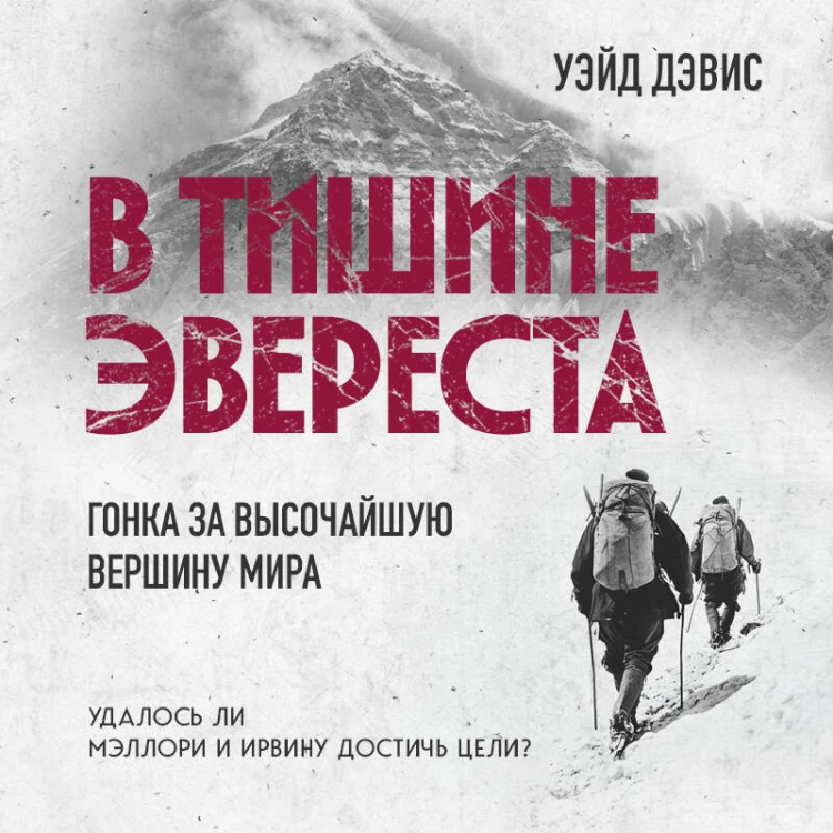 В тишине Эвереста. Гонка за высочайшую вершину мира