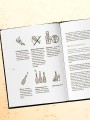 Игристое. От просекко и кавы до шампанского. История, регионы, выбор