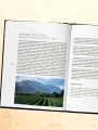 Игристое. От просекко и кавы до шампанского. История, регионы, выбор