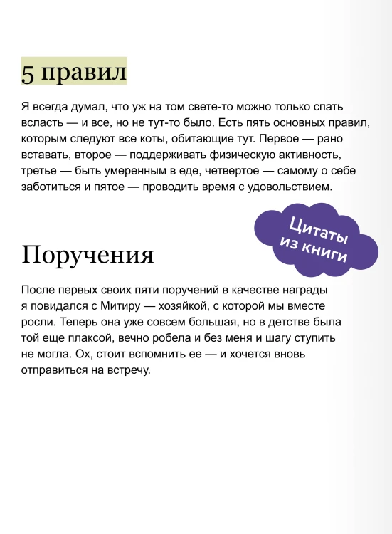 Рыжий кот Фута и затерянный домик в горах
