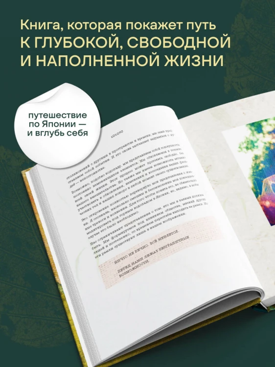 Kokoro. Японское искусство мягких перемен