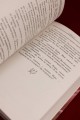 Пересмешник на рассвете. Книга 1