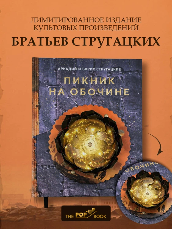 Пикник на обочине