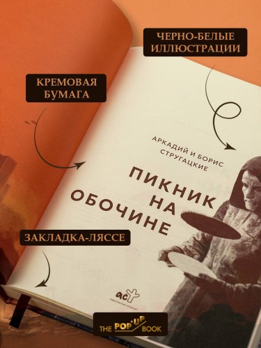 Пикник на обочине