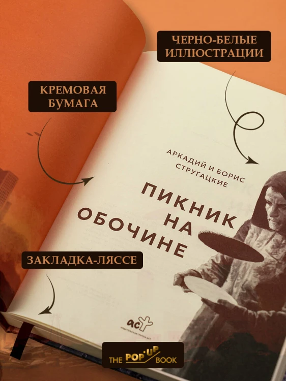 Пикник на обочине