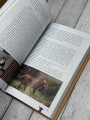 Домашние животные. Популярный иллюстрированный гид