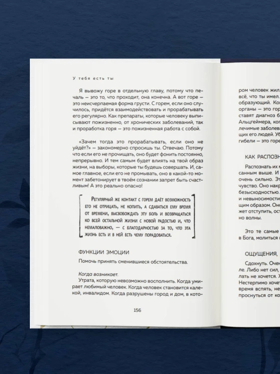 У тебя есть ты. Книга-тренинг о том, как научиться проживать и выдерживать сильные эмоции (2ое издание. Исправленное. Дополненное)