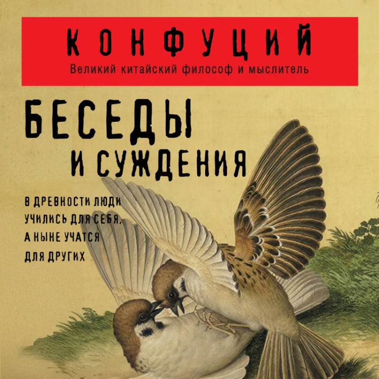 Беседы и суждения