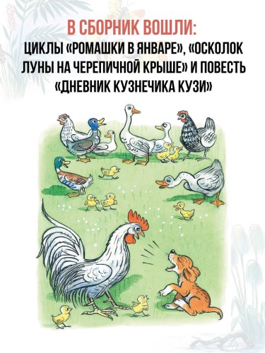Сказки. Рисунки В. Сутеева