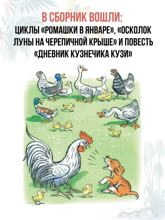 Сказки. Рисунки В. Сутеева