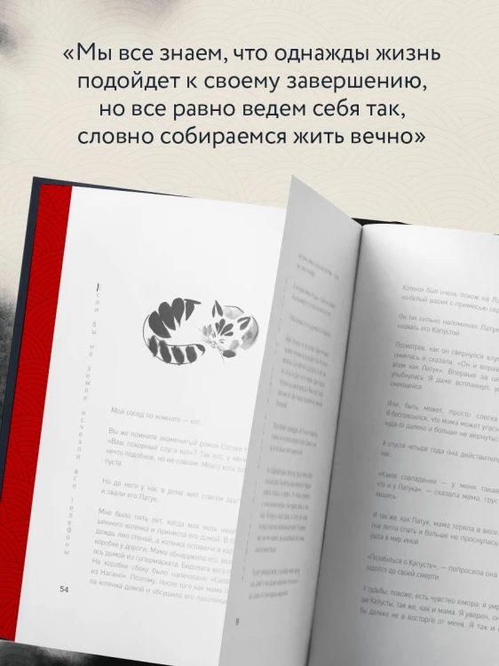 Если все кошки в мире исчезнут. Эксклюзивное издание с цветными иллюстрациями (имитация шнуровки, печать по обрезу)