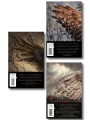 Комплект "Песнь Сорокопута" (коллекционное издание: 1-3)