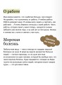 Трое в лодке, не считая собаки. Вечные истории