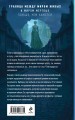 Последнее отражение