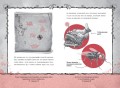 Злая книга (новое оформление)