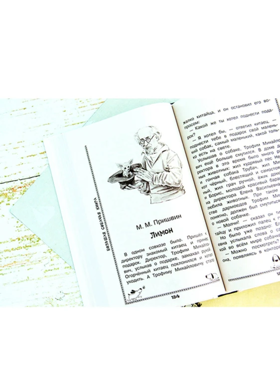 Большая собачья книга