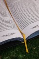 Франкенштейн, или современный Прометей