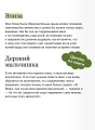 Незнакомка из Уайлдфелл-Холла. Вечные истории. Young Adult