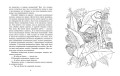 Гномобиль (Иллюстр. Г. Калиновского)