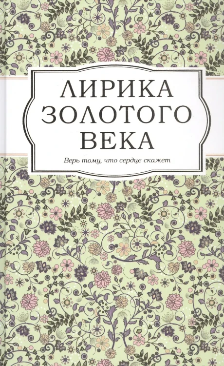 5.webp