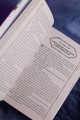 Гениальная жена по ядам: Легенда о Юньси. Книга 1