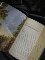Популярные жанры живописи. Пейзаж, натюрморт, портрет