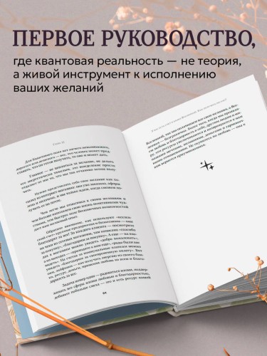 Можно все, или Как создавать желаемое. Квантовые практики достижения успеха