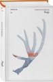 Комплект из трех книг: Риф + Верховье + Цепи меланхолии