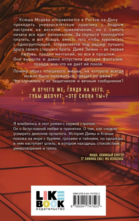 Комплект из двух книг: Это снова ты + Поиск сокровищ