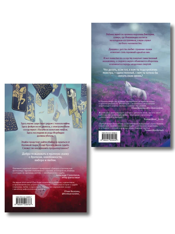 Комплект из 2 книг (Лунный ветер + Когда завтра настанет вновь)